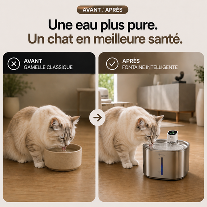 Fontaine à Eau Intelligente Sans Fil 4L